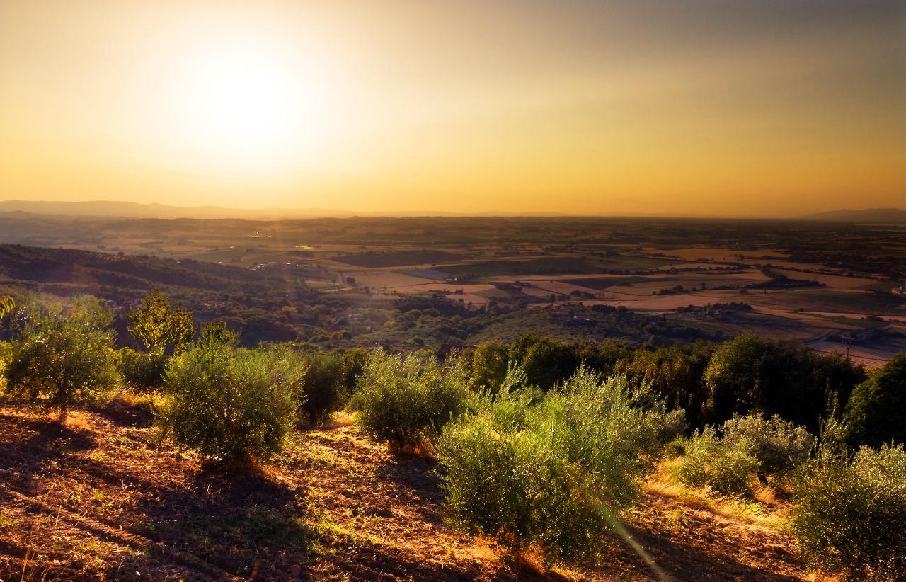 Corinto_Manaki_Pelopones_haje